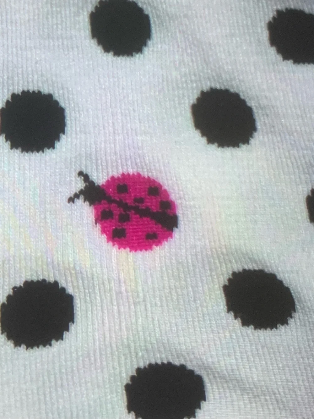 Kate Spade New York Polka Dot Crew Socks with Red Ladybug NEW NWT